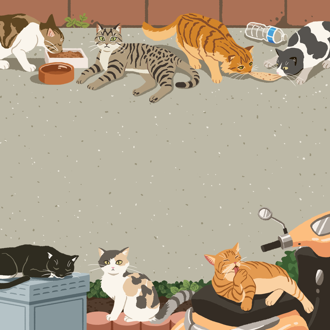 Street Cats Memo Pad