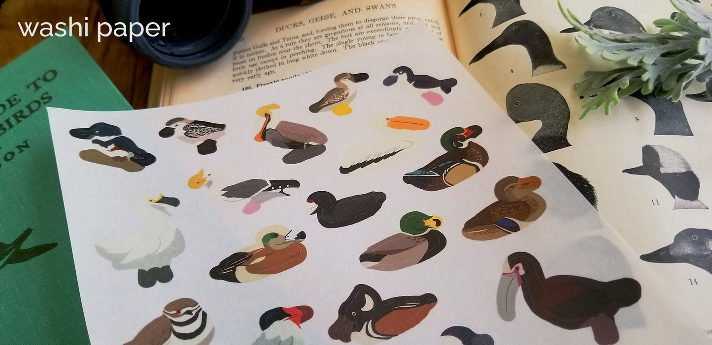 River Birds Sticker Sheet