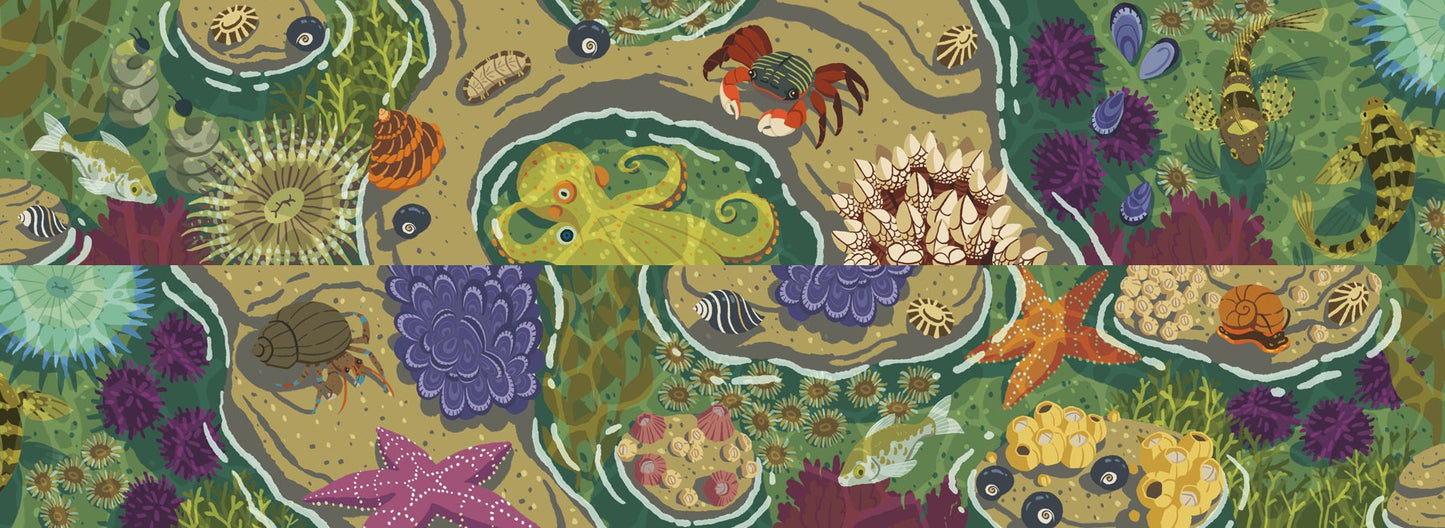 Tide Pools Washi Tape