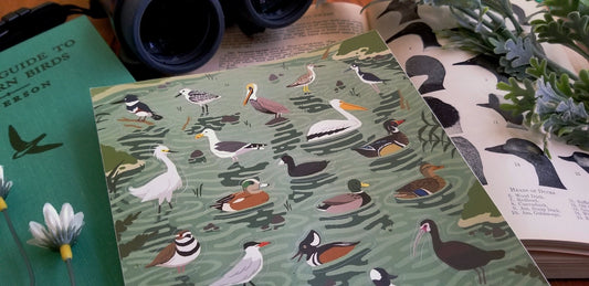 River Birds Sticker Sheet